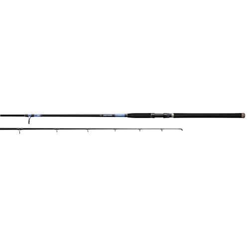 Catfish Fishing Rod Catfish Fishing Rod Selection: Heavy-Duty Requirements &#038; Options