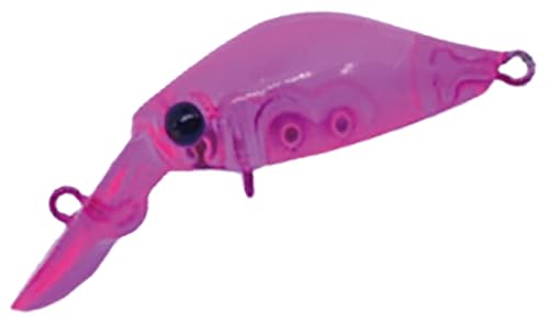 fBXvEg(Daysprout) Rita (^) DR-F RT-04 sN