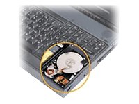 Disque dur interne Dell 80 Go STD-5000HD/80 pour sauver vos données sur PC portable lent
