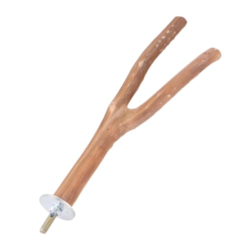 BESPORTBLE Parrot Pole Stand Wooden Bird Stand for Perching Craftsmanship for Pet Parrots Random