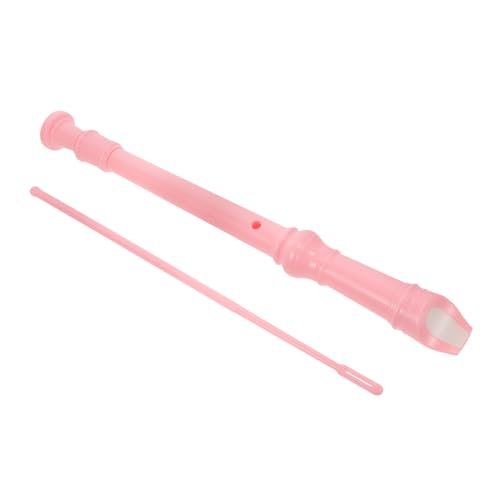 ibasenice Soprano Recorder Flute 8 Hole Musical Instrument for Teens Families Sound Stylish Design Set of 2