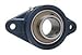 FYH UCFL20723EG5 1 7/16 ND SS 2 BOLT FLANGE UNIT (Pack Of 2)