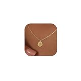 Qyalie Dainty Flower Necklace for Women Birthflower Birthstone 14K Gold Plated necklaces Trendy Zircon Birthday for Women Jewelry (Aug-Rose)