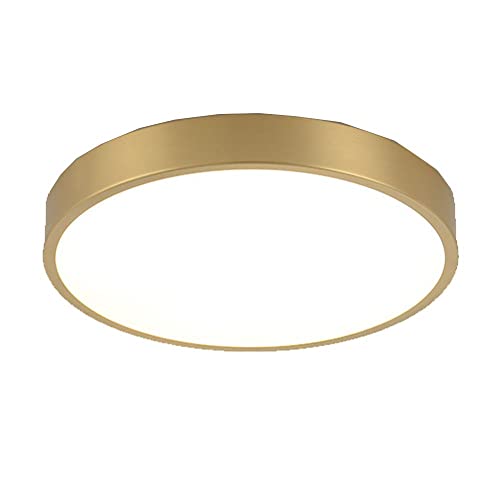 Plafonnier LED acrylique moderne et métal de qualité supérieure pour éclairage chic