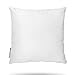 Pal Fabric Square Sham Pillow Insert for 18" x18" Pillow Cover - Made in USA -Full and Fluffy