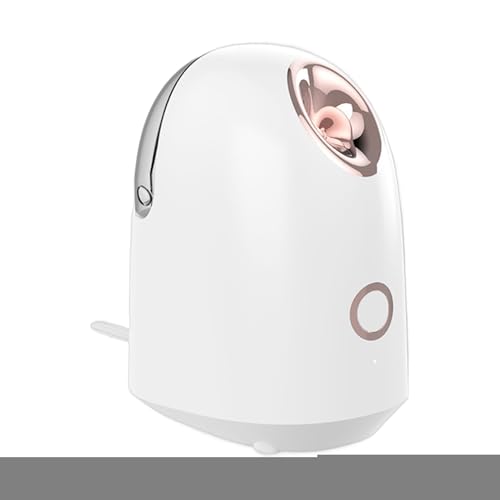 Vaporisateur visage portable à brume fine pour nettoyage de peau à domicile