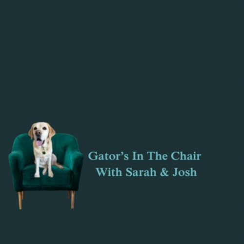 Gator's in the Chair cover art