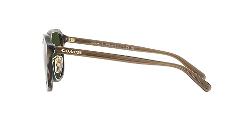 Coach Men's Hc8366 Square Sunglasses4