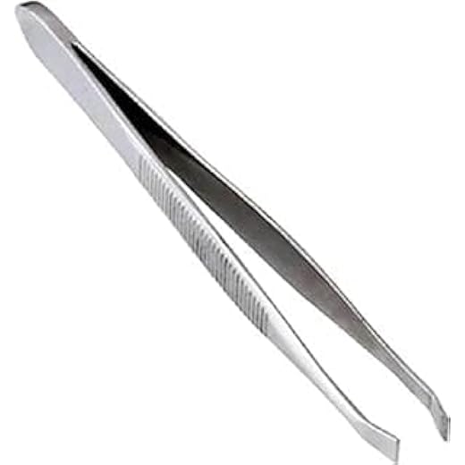 Flat Tip Metal Tweezer and Plucker Silver