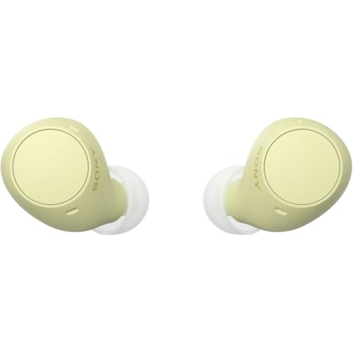 SALE❤️新品 SONY ソニー ワイヤレスイヤホン WF-C510 ディズニー ソニーストア限定コラボレーションモデル「Disney Collection