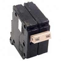 CH2100 100-Amp 2-Pole Circuit Breaker
