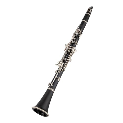 Clarinette si bémol tube noir complet avec bec et accessoires pour instruments à vent