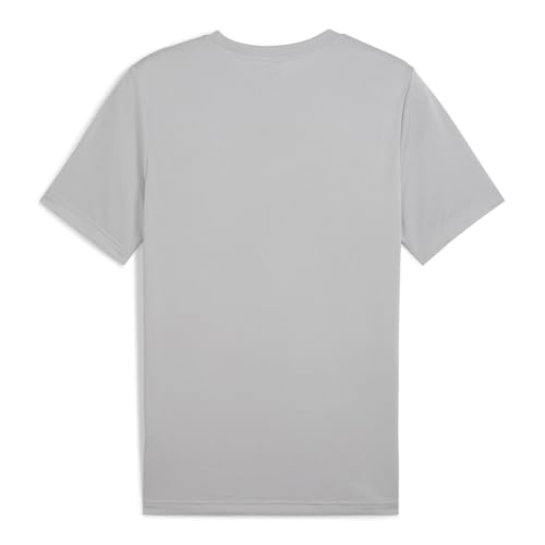 Puma Men's Regular Fit Tees (682542_Cool Light Gray