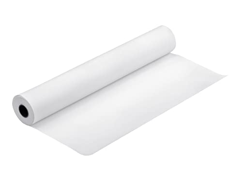 Epson Premium Luster Photo Paper (260) Papier photo lustré Rouleau (30 cm x 30,5 m) 1 rouleau