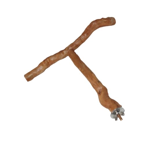 Toyvian Wear Resistant T Shaped Bird Stick for Parrots and Cockatiels Household for Budgies and Lovebirds Promotes Foot Exercise and Natural Beak Care