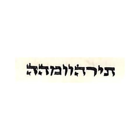 super stam Hebrew Amulet Written by Hand on Parchmen קמעי לרפואה מר' צבי הירש מזידיטשוב(White refuah sheleimah) Cover