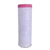 Air Filter P759005 for Donaldson
