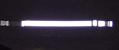 Cat Goods Reflective Elastic Safety Collar #TOP18