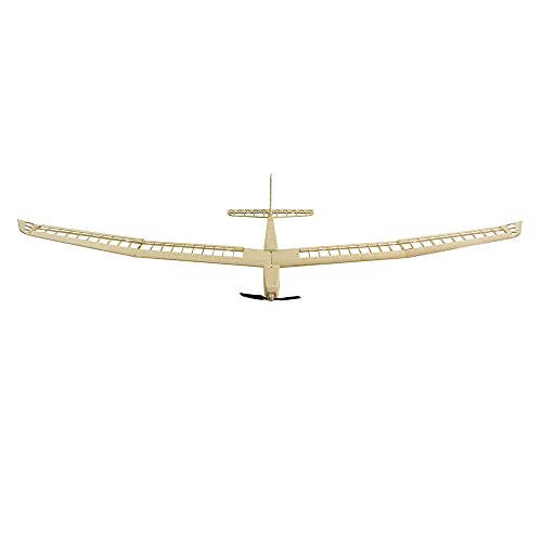Avión de vela Balsa Wood Glider F25 con motor y envergadura de 2500 mm 2