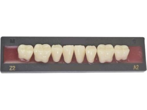 Dents artificielles bas pour remanger normalement au quotidien lot de 8