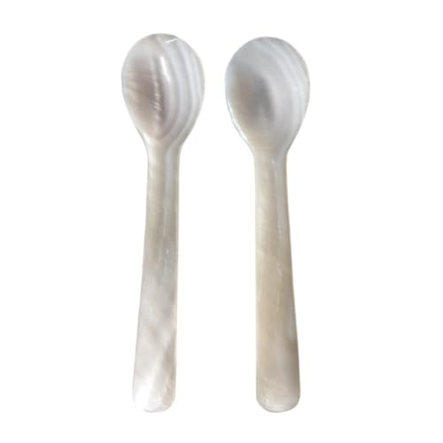 Caviar Spoons Mother of Pearl Caviar Spoons for Caviar, Egg, Ice Cream, Salt, Coffee Serving, Restaurant Serving Set, 2PCS Shell Spoon Caviar Spoon Long Handle for Kitchen (White)