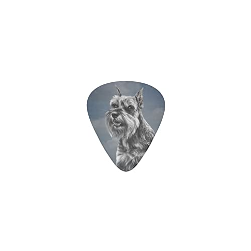 iĂ~j`AEViEU[ fUCM^[sbN guitar pick eBAhbv^ GLM^[/AR[XeBbNM^[/NVbNM^[/x[X̗KɍœK12Zbg