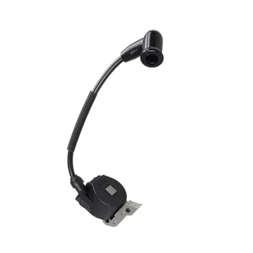 Module de bobine d'allumage à haute tension constante pour PS6000 120si 114 114143500