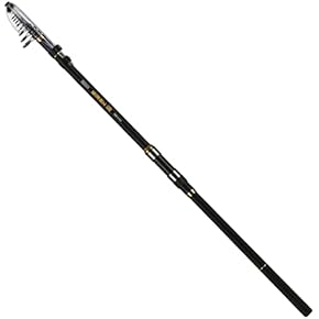 Amazon.co.jp: 磯竿 - ロッド・竿: スポーツ＆アウトドア