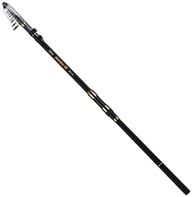 Amazon.co.jp: 磯竿 - ロッド・竿: スポーツ＆アウトドア