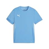 PUMA Camiseta de fútbol Unisex Teamgoal Matchday Jr