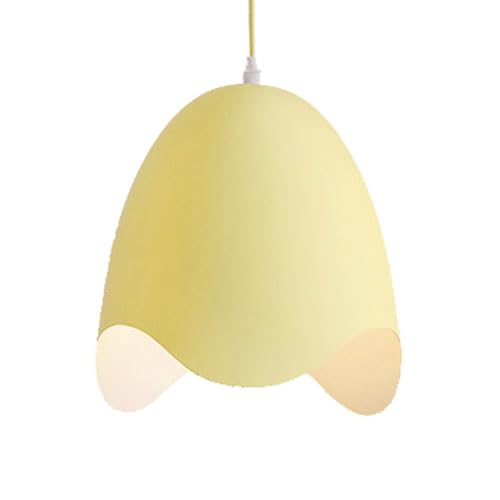 Lustre en fer CFWSHJ luminaire moderne pour rénover un espace sombre