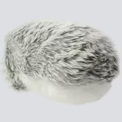 Amazon | カシオのAIペット moflin(モフリン) シルバー | ロボット