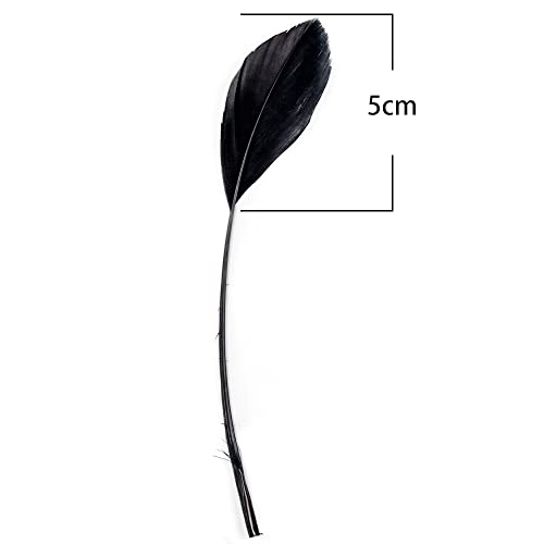Fearafts Natural Black Feathers For Hats Making Fascinators Decoration Stripped Coque Feather Pack Of 50 (Black) #TOP3