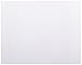 TruLam 10 Mil 9 x 11-1/2 Inches Letter Laminating Pouches, 50 per Box (LP10LTR)