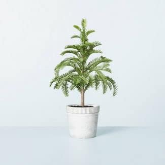 Faux Balsam Fir Tree in Washed Cement Pot - Hearth & Hand with Magnolia