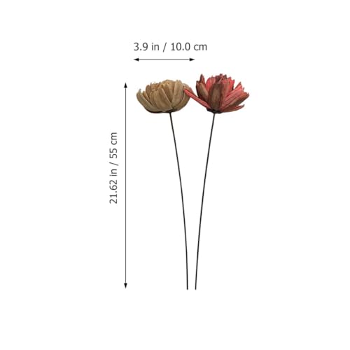 Ramillete Natural de Flores Secas Healeved 2 unidades miniatura 2