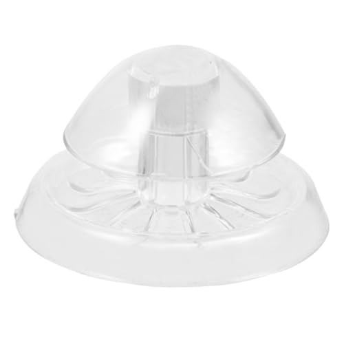 Toyvian 2 Piezas de Caracoles para Natural de Caracoles Accesorio de de Plástico Transparente Diámetro