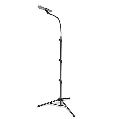 Support de microphone d'hébergement de scène réglable pour animateur de soirée