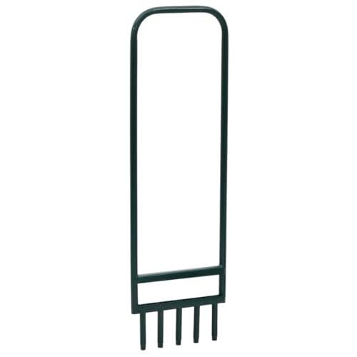 vidaXL Rasenlüfter mit 5 Hohlzinken, Rasen Aerator mit Fußstange Griff, Vertikutierer zum Lockern von Boden, Aerifizierer, Grün Pulverbeschichteter Stahl