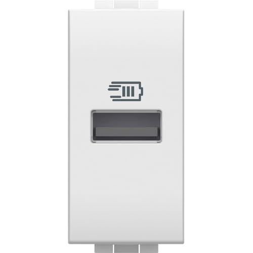 Cargador USB Tipo A Bticino N4191A Livinglight de 15W y 1 módulo en color blanco