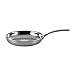 Scanpan Fusion 5 Stainless Steel 10 1/4 inch Fry Pan – Aluminum Core, Measuring Units, Drip-Free Rim, 18/10 Steel Interior, Oven Safe 480°F, All Cooktops, Induction, Silver
