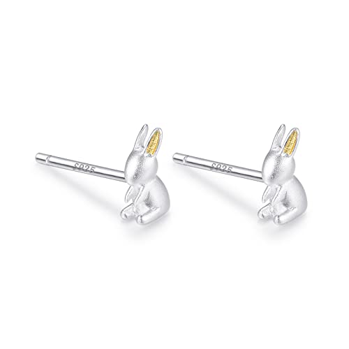 sAX Silver925 Vo[  Vv AM[Ή Ԃ  ~jTCY ڗȂ (Vo[)