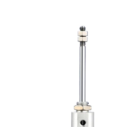 Vérin pneumatique double tige CDJ2D16 anti-rotation en inox pour guidage stable - 5