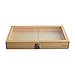 Display Case with Glass Top Butterfly Display Box Display Case Specimen Collection Boxes for Collecting Butterfly
