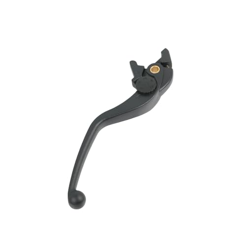 Maneta de freno derecha BMW F 900 GS 2024 para rutas y curvas