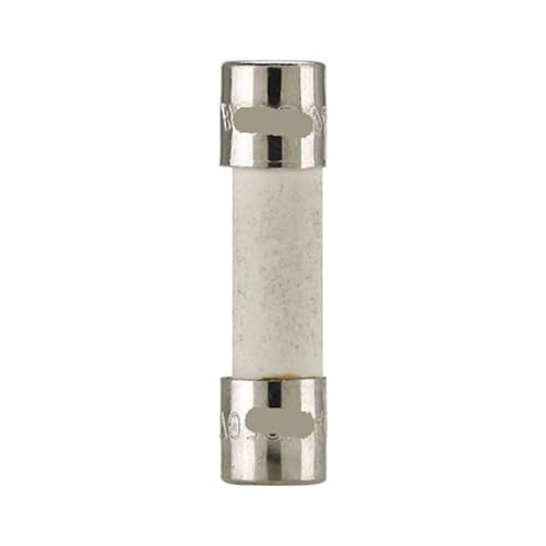 Fusible céramique lent S505-4A-R 4A 250V tube temporisé tête plate