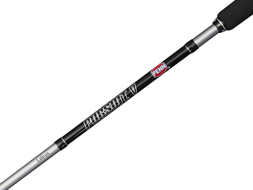 Penn Pursuit V Labrax ensemble canne moulinet 4+1 roulements - 2