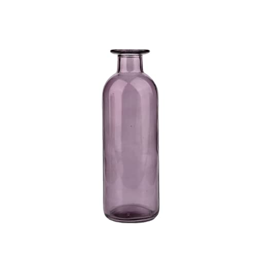 Bicuzat Smooth Face Clear Glass Vase for Flower, Bud Vase Hydroponic Planter for Home, Office, Room, Party-Purple-Long-S
