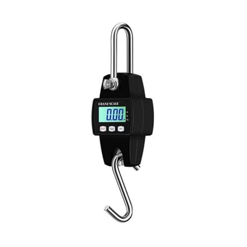 Balance à grue électronique portable pour éviter les erreurs de charge