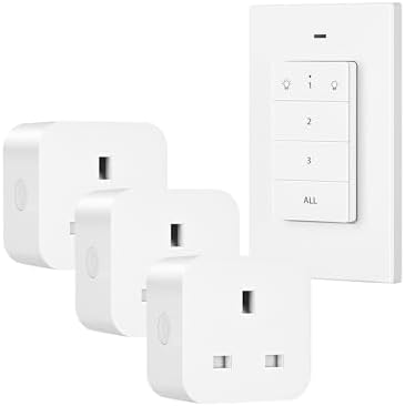 DEWENWILS Wireless Remote Control Sockets, 13A 3120W Switches with Magnetic Control, 30M/100ft Long Range, for Vacs, Christmas Lights, Fans, 1 Remote and 3 Sockets